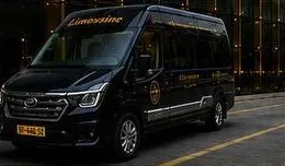 11 座 Limousine車款照片